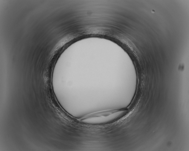 X0000097640922200803281120