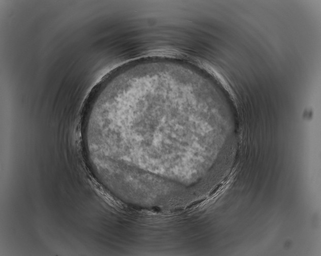 X0000097640923200803281120