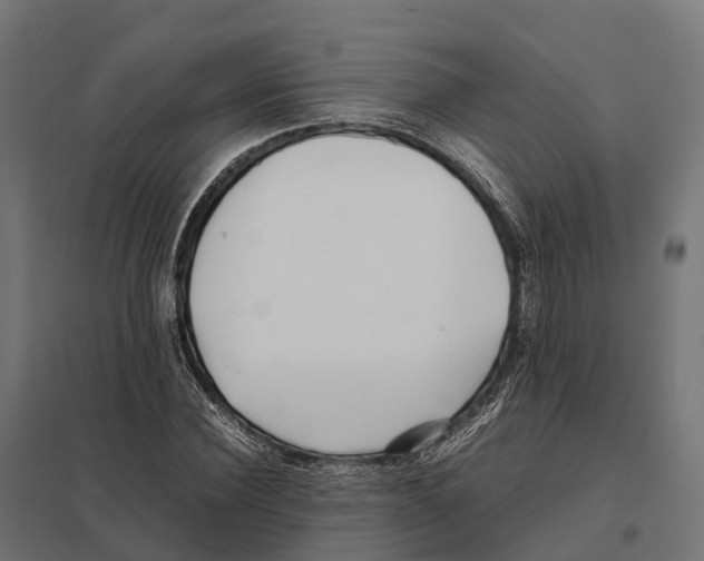 X0000097640924200803281120