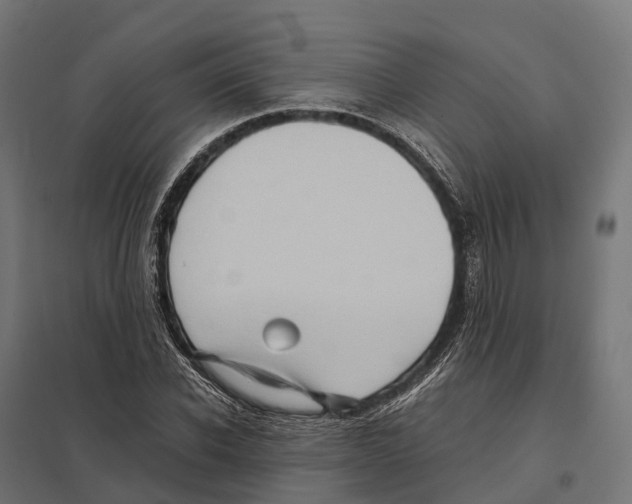 X0000097640926200803281120