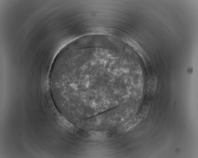 X0000097640928200803281120