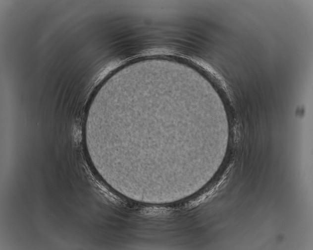 X0000097640929200803281120