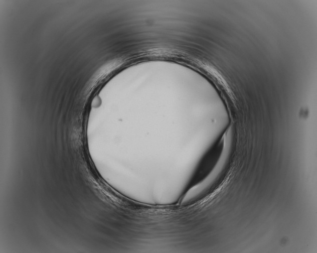 X0000097640930200803281120