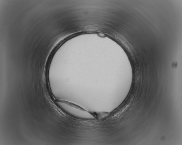 X0000097640932200803281120