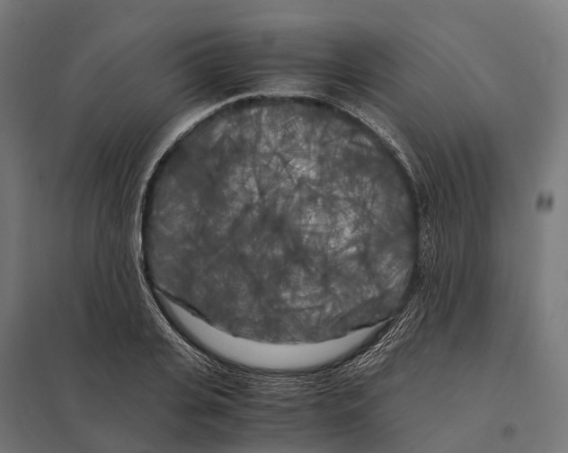 X0000097640935200803281120