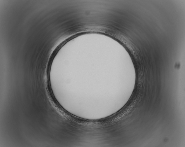 X0000097640936200803281120