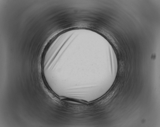 X0000097640939200803281120