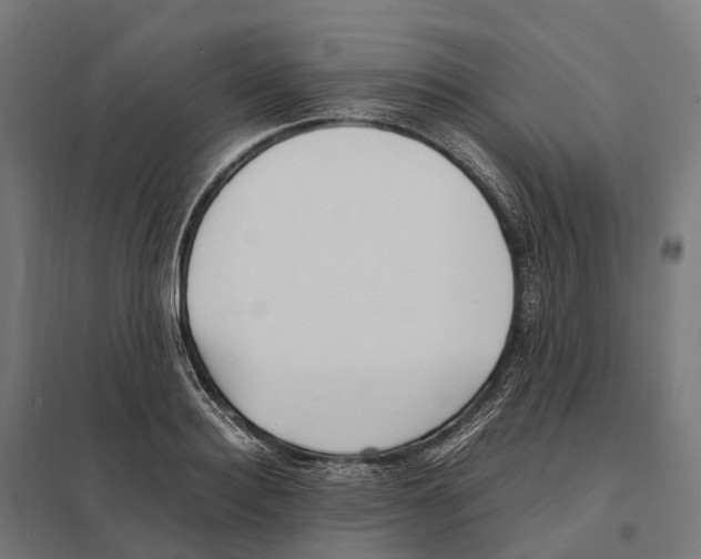 X0000097640940200803281120