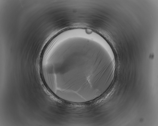 X0000097640941200803281120