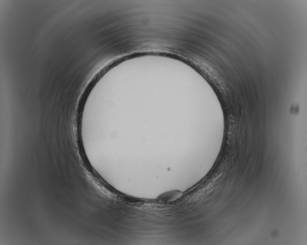 X0000097640942200803281120