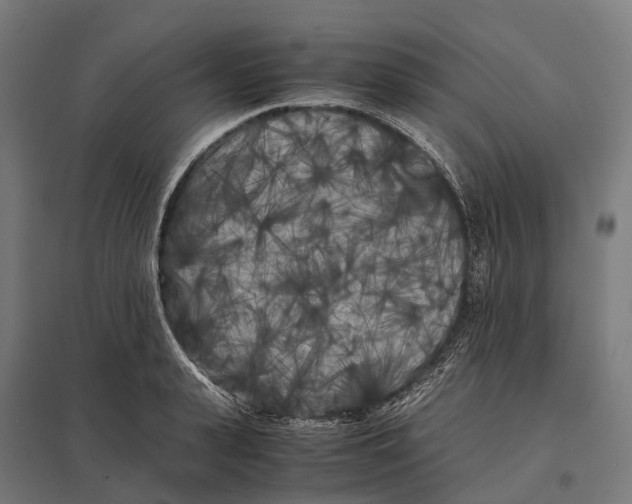X0000097640943200803281120
