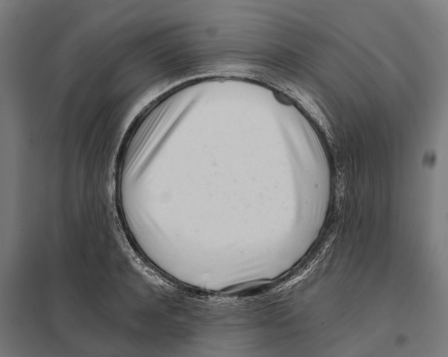 X0000097640944200803281120