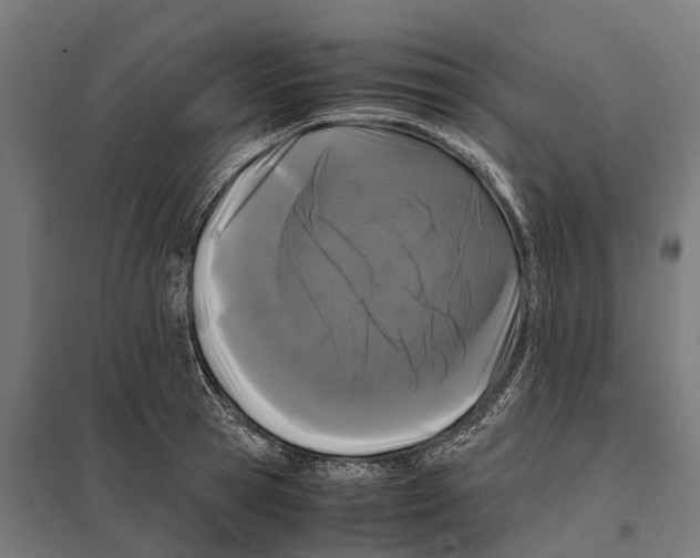 X0000097640945200803281120