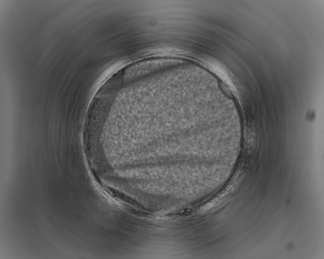 X0000097640946200803281120