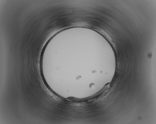 X0000097640947200803281120