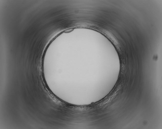 X0000097640948200803281120