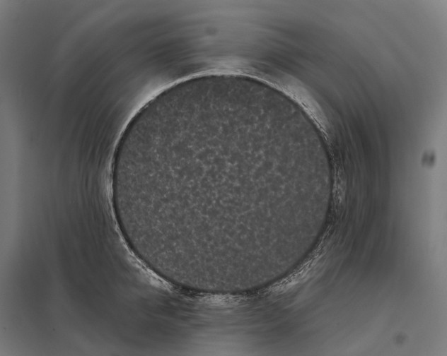 X0000097640950200803281120