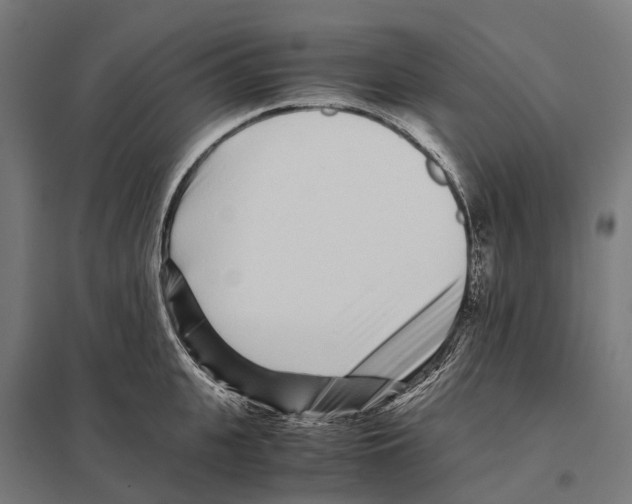 X0000097640951200803281120