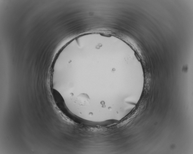 X0000097640952200803281120