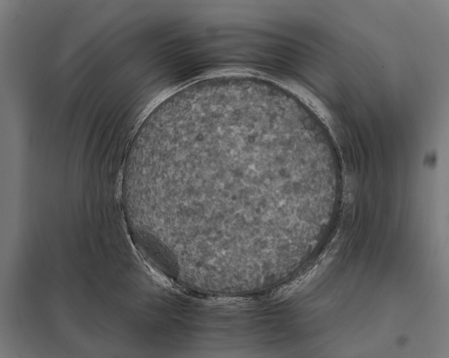 X0000097640953200803281120