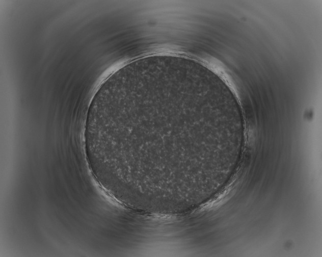 X0000097640954200803281120