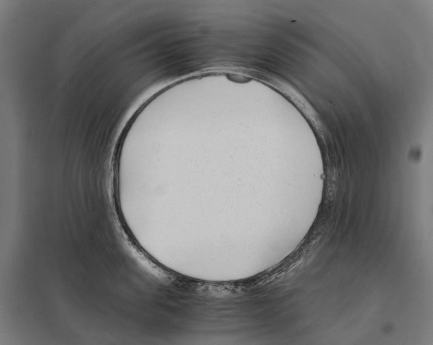 X0000097640955200803281120