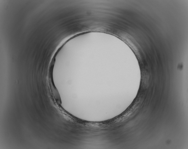 X0000097640956200803281120