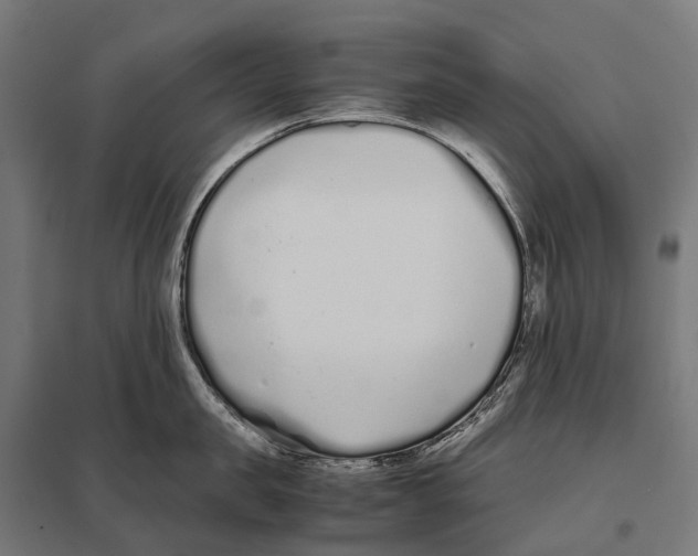 X0000097640957200803281120