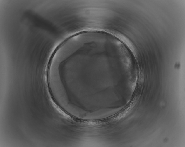 X0000097640958200803281120