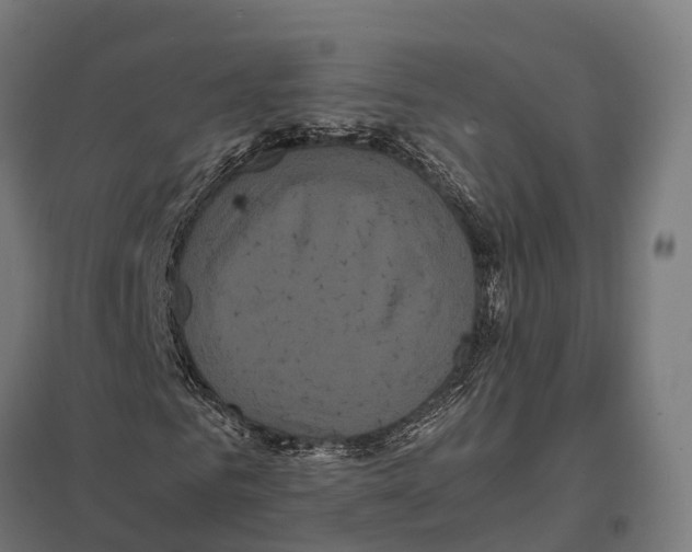 X0000097640961200803281119