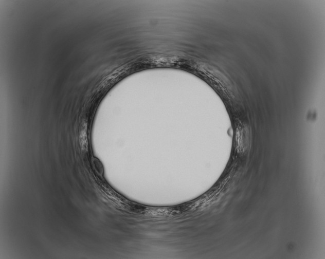 X0000097640963200803281119