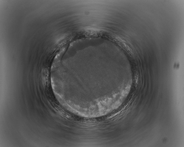 X0000097640964200803281119