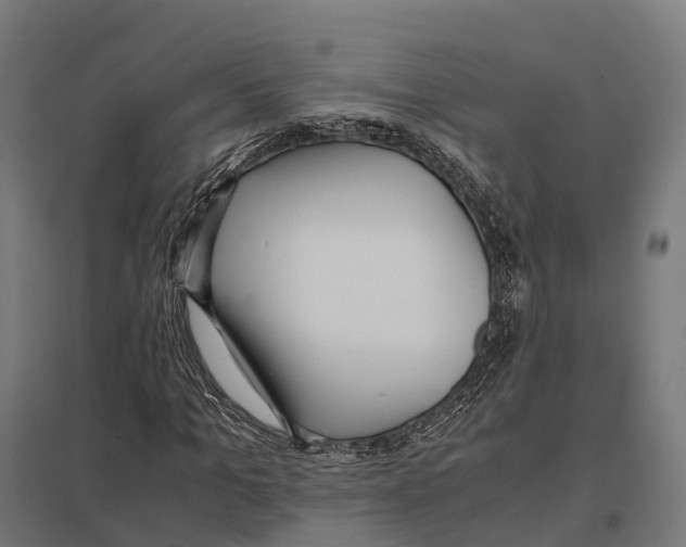 X0000097640965200803281119