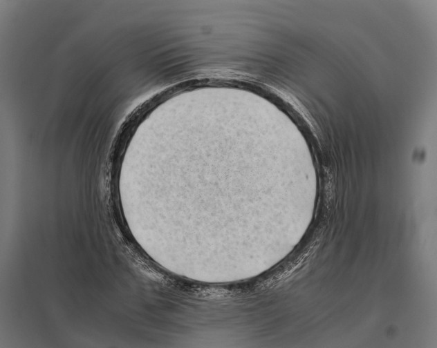 X0000097640971200803281119