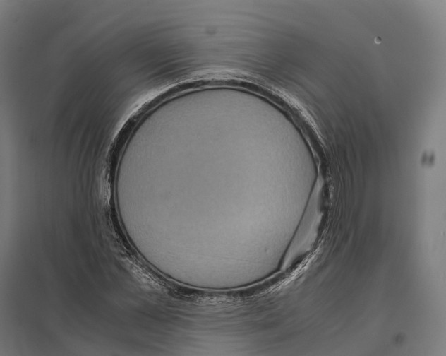 X0000097640973200803281119