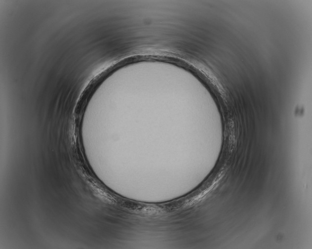 X0000097640974200803281119