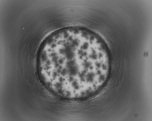 X0000097640975200803281119