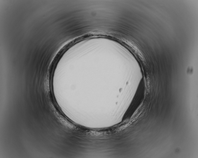 X0000097640976200803281119