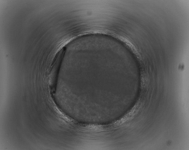 X0000097640977200803281119