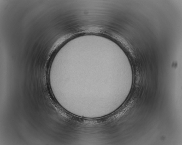 X0000097640978200803281119