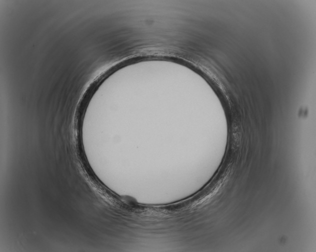 X0000097640981200803281119