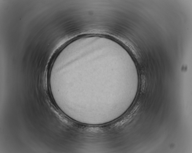 X0000097640982200803281119