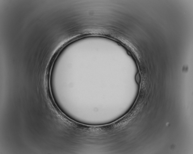 X0000097640983200803281119