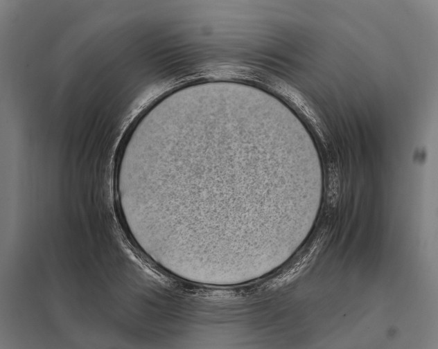 X0000097640986200803281119