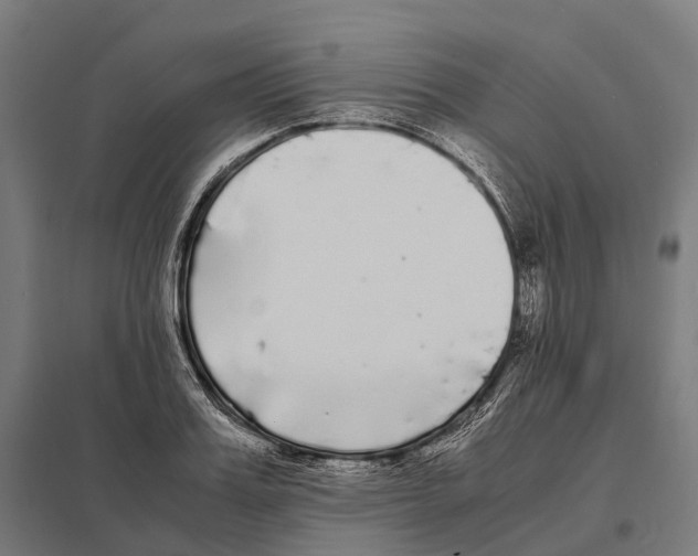 X0000097640987200803281119