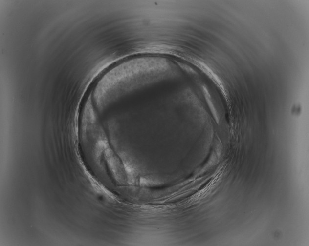 X0000097640988200803281119