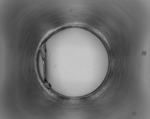 X0000097640989200803281119