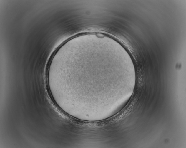 X0000097640990200803281119