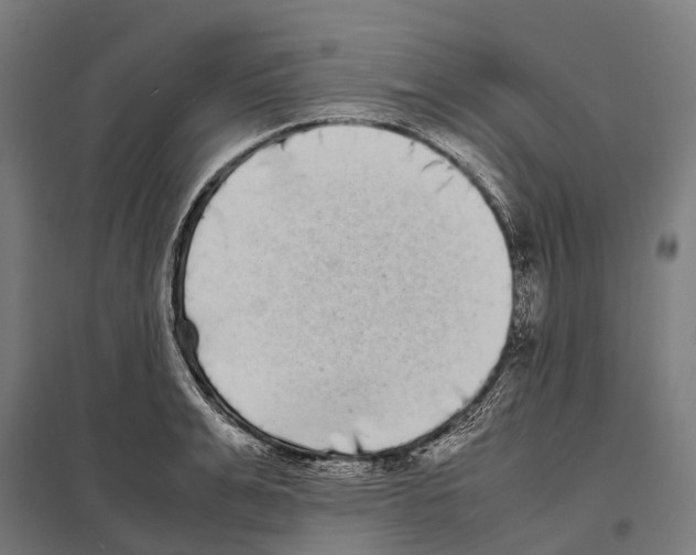 X0000097640991200803281119