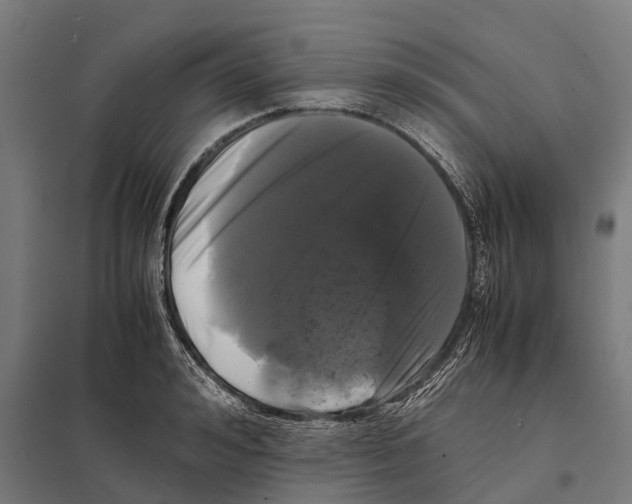 X0000097640992200803281119